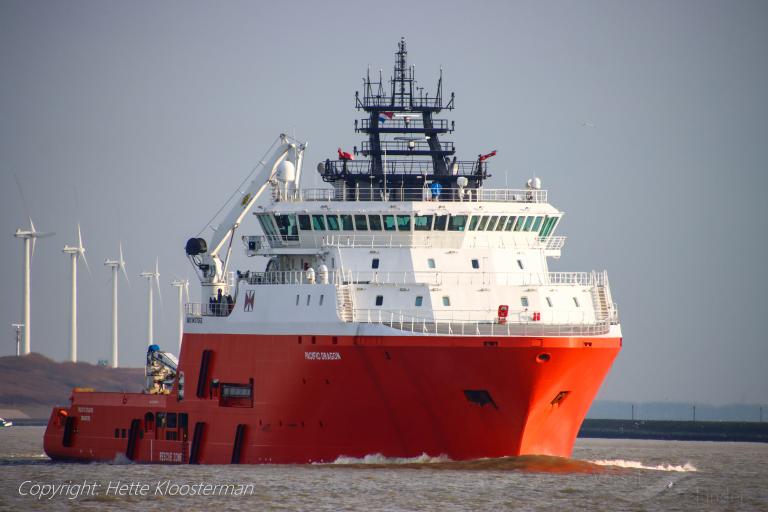 PACIFIC DRAGON photo