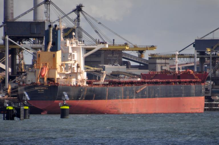 SUNRISE PROSPERITY photo