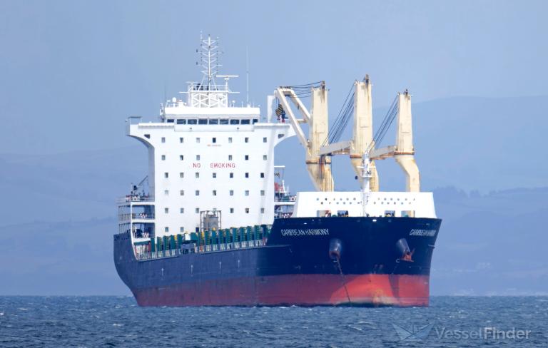 CARIBBEAN HARMONY photo