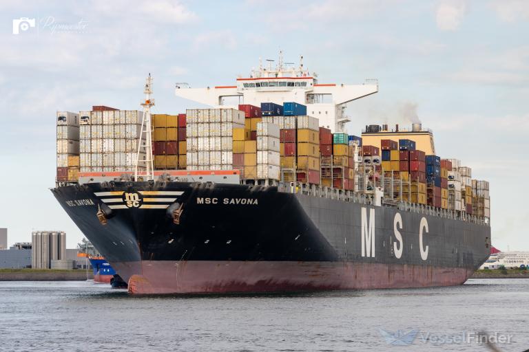 MSC SAVONA photo
