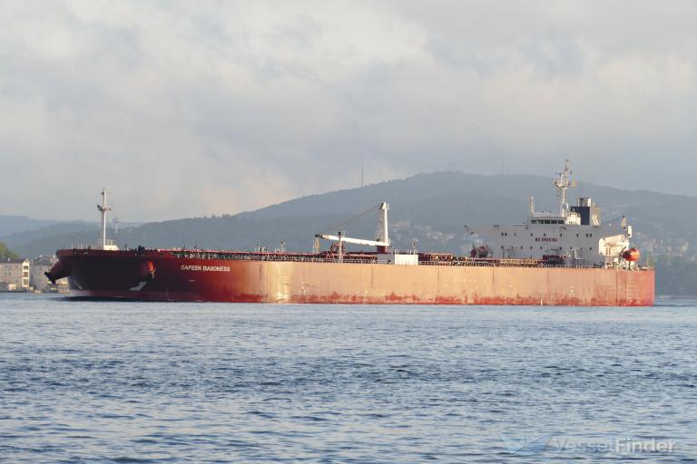 SAFEEN BARONESS photo