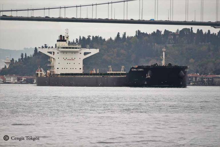 MINH PROVIDENCE photo