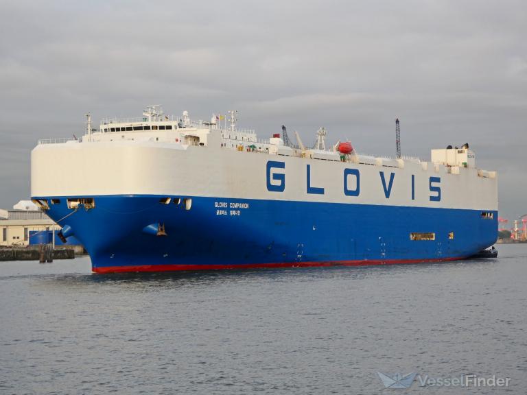 GLOVIS COMPANION photo