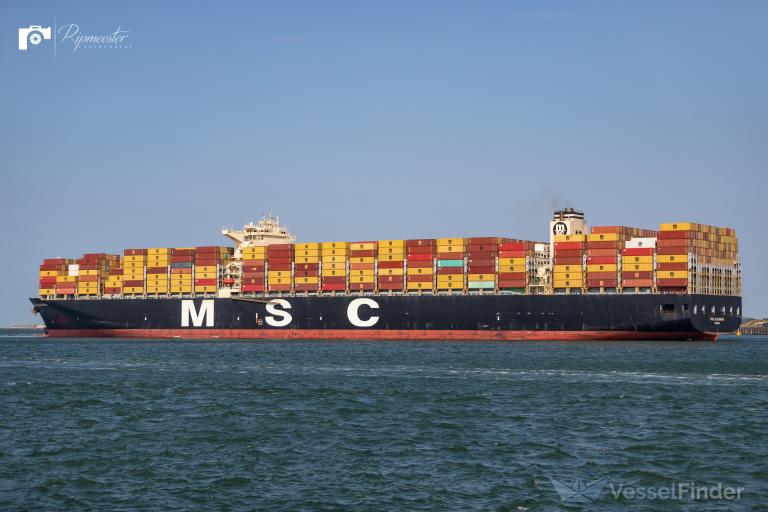 MSC ALEXANDRA photo