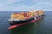 MSC-ROSA-M