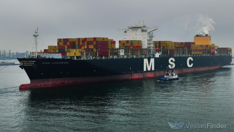 MSC LIVORNO photo