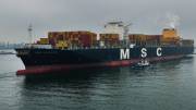MSC-LIVORNO