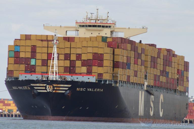 MSC VALERIA photo