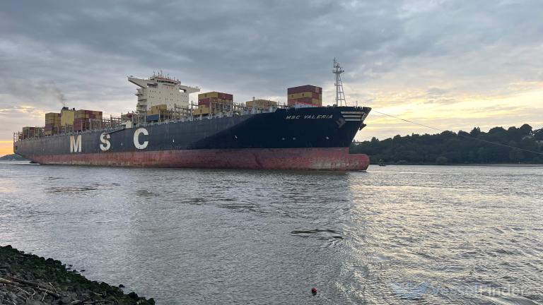 MSC VALERIA