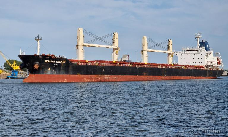 SEASTAR VALIANT photo