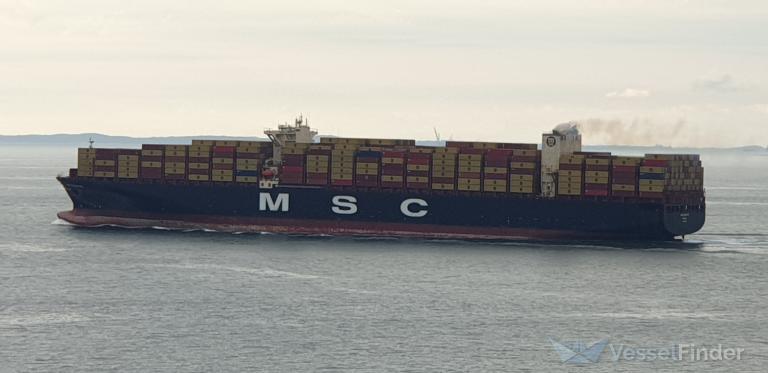 MSC ELISA XIII