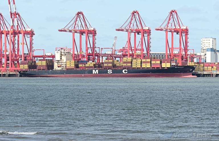 MSC HOUSTON V