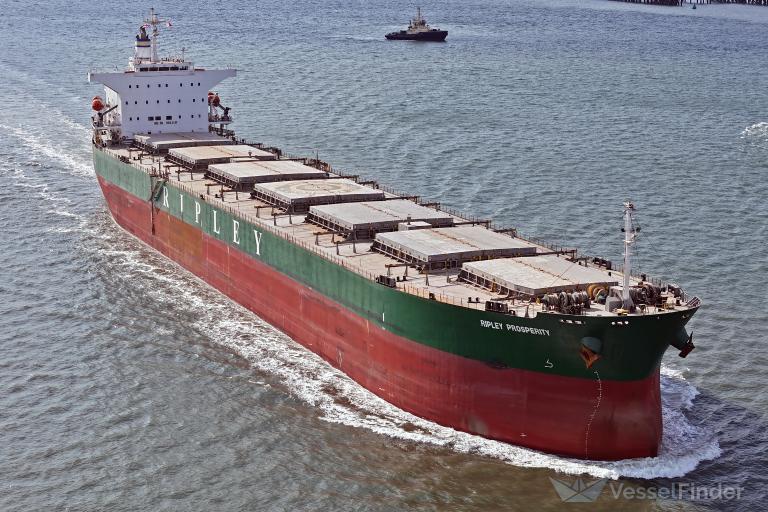 RIPLEY PROSPERITY photo