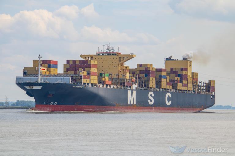 MSC MARGRIT XIII