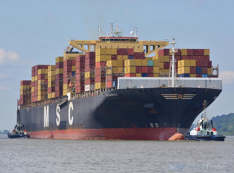 MSC MARGRIT XIII