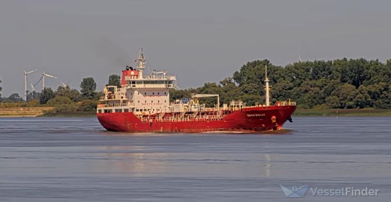 SWAN BISCAY