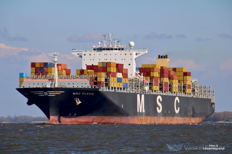 MSC FLAVIA