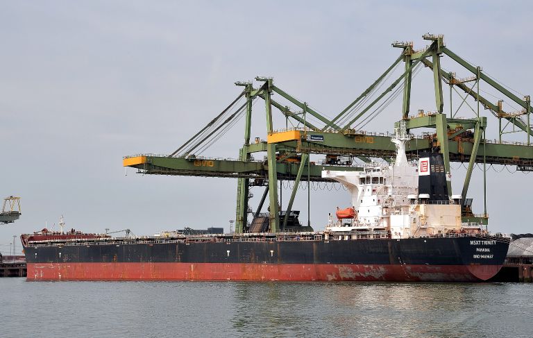 MSXT TRINITY, Bulk Carrier - Scheepsdetails en huidige positie - IMO ...