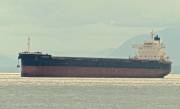 Vessel RISING WIND (Bulk carrier) IMO 9582984, MMSI 371332000