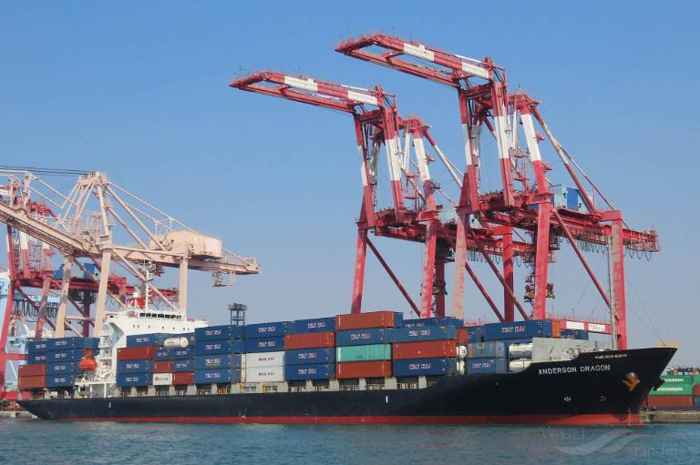 ANDERSON DRAGON photo