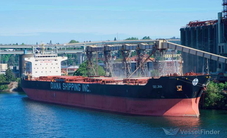 JOANNA, Bulk Carrier - Details and current position - IMO 9473183 ...
