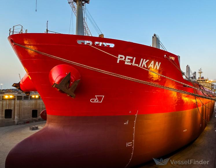 PELIKAN photo