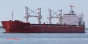 IVY BLUE, Bulk Carrier - Details and current position - IMO 9419943 -  VesselFinder