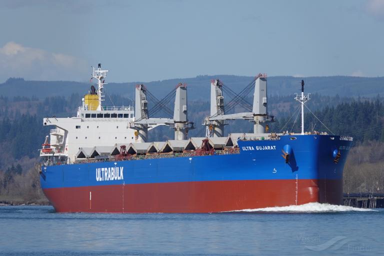 CHATHAM ISLAND photo