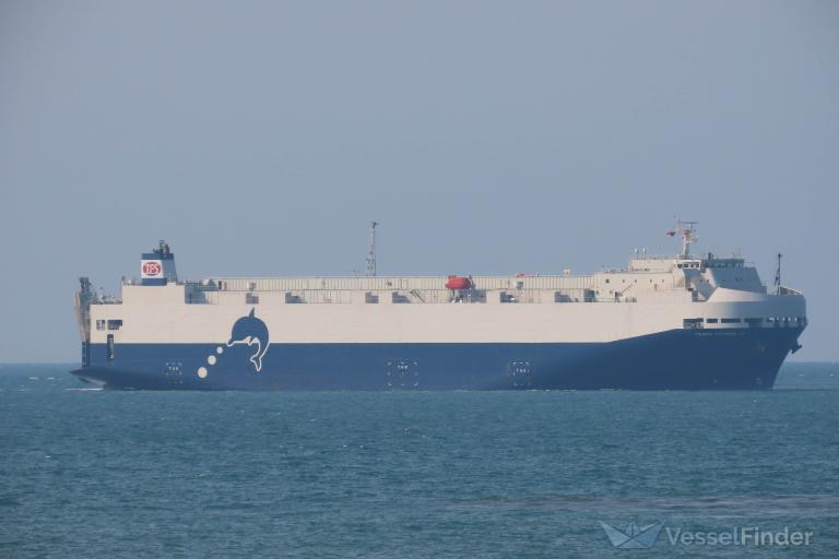 TRANS FUTURE 11, Vehicles Carrier - Details and current position - IMO ...