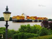 MSC-CORUNA