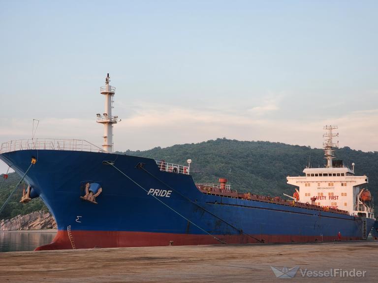 Pride bulk carrier details and current position imo 9480277
