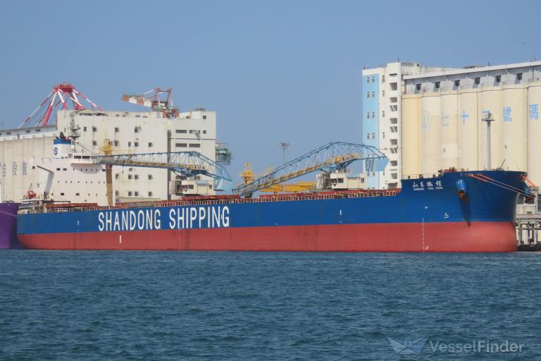 SHANDONG PENG CHENG photo