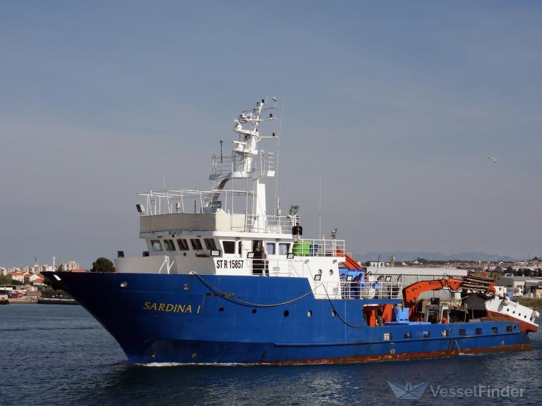 SARDINA1 photo