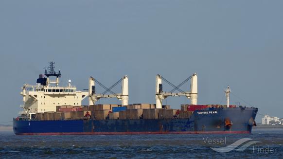 CETUS CACHALOT photo