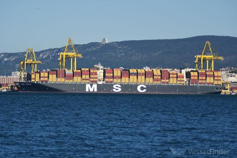 MSC VANDYA