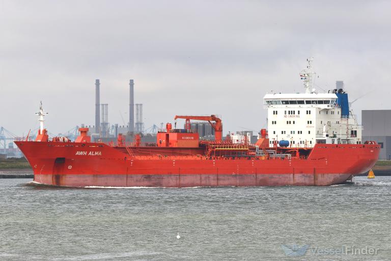 Katta eshak osiyolik