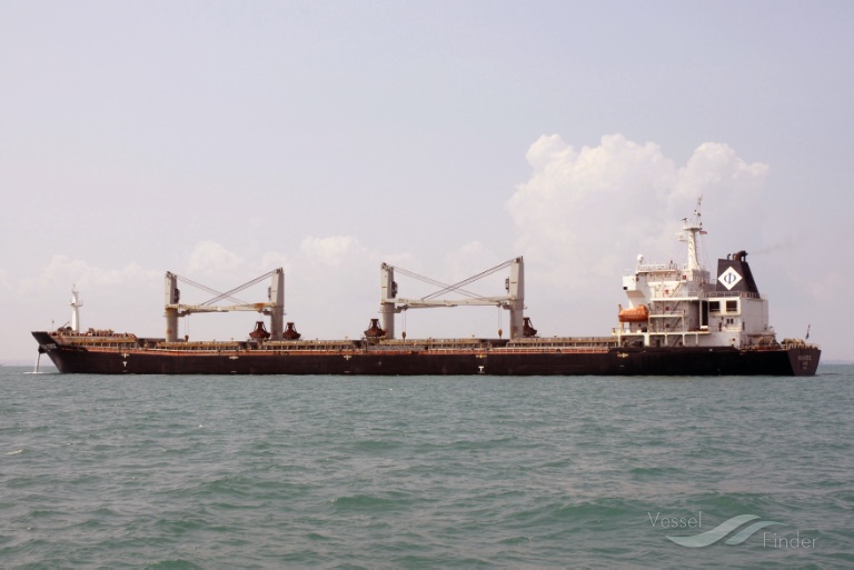 MAGNUM FORCE, Bulk Carrier Details and current position IMO 9488956