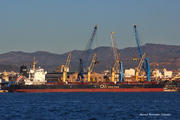 Tbc Prestige Bulk Carrier Dannye Sudna I Tekushee Polozhenie Imo 9489833 Mmsi 372812000 Vesselfinder