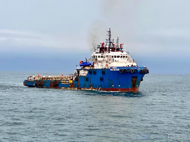 VEGA NBA BLESS photo