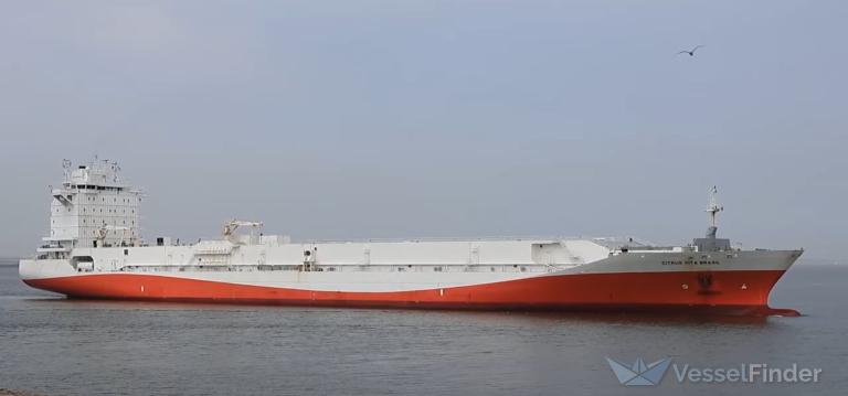 CITRUS VITA BRASIL