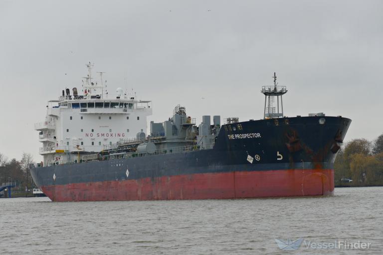 THE PROSPECTOR photo