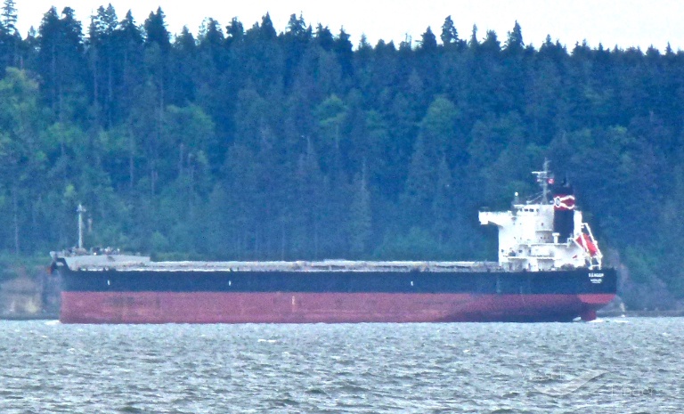 RANGER, Bulk Carrier - Details and current position - IMO 9493999 ...