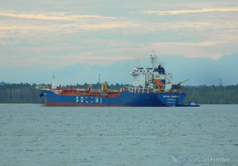 BINTANG SAMUDRA T photo