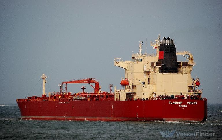 FLAGSHIP PRIVET photo