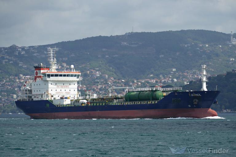 MT T.GONUL photo