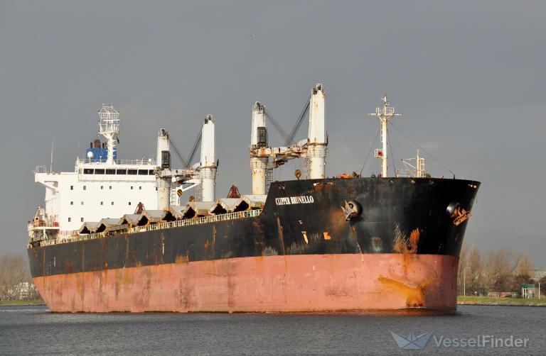 CLIPPER BRUNELLO photo