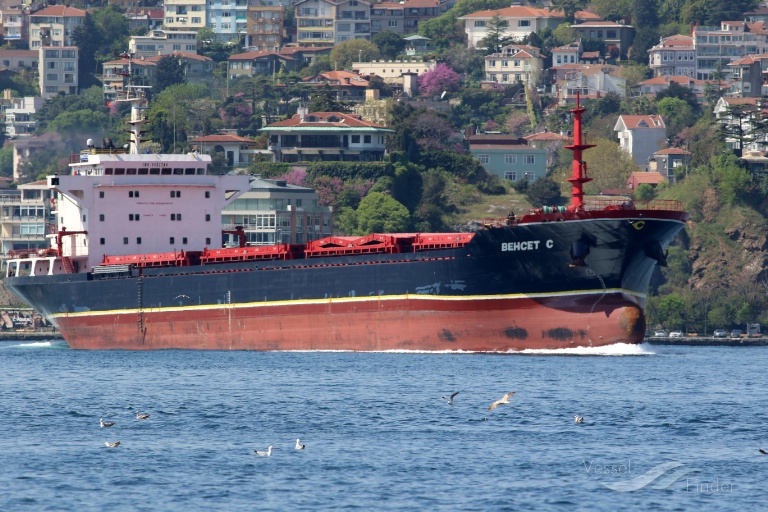 balık etli kadın giyim