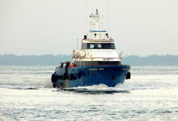 CB PEACOCK DUA photo