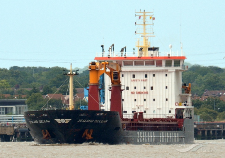 BULKER BEE 11 photo