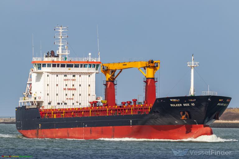 BULKER BEE 10 photo